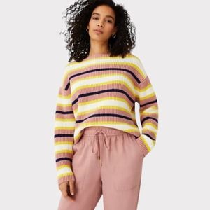NWT Ann Taylor stripped boatneck petite sweater XS Petite